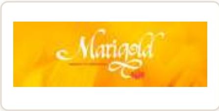 Marigold